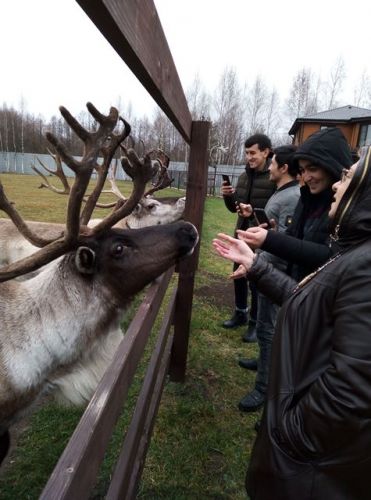 Валентина Анатольевна рассказывает студентам о анимационной программе, в которой участвуют и олени