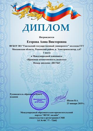 диплом Егорова 2019