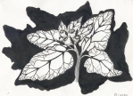 , 15 