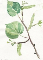  , 11 