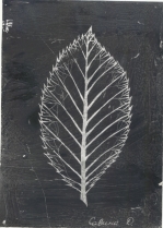  , 13 