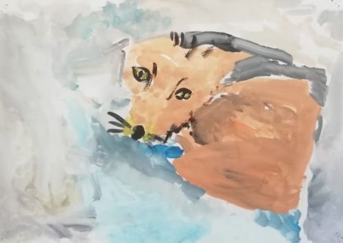    6 , 
