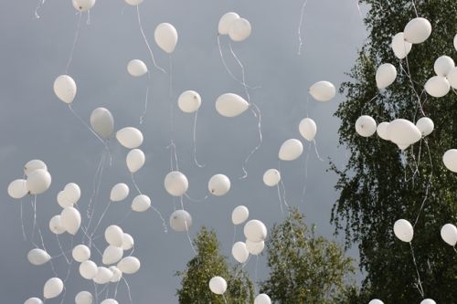 Студенты и преподаватели ГГУ в 13.05 по московскому времени у центрального входа в учебный корпус университета,  выпустили в небо 335 белых шаров, каждый из которых символизировал