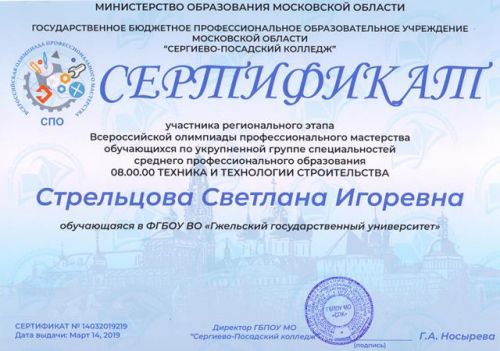 14.03.19 Стрельцова2